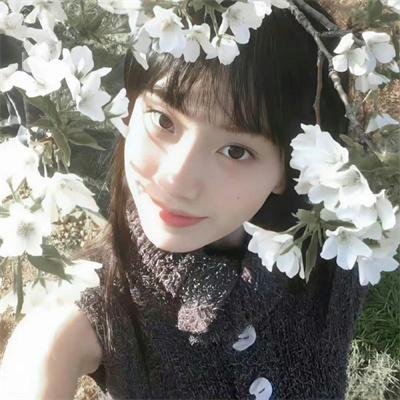 好莱坞队列